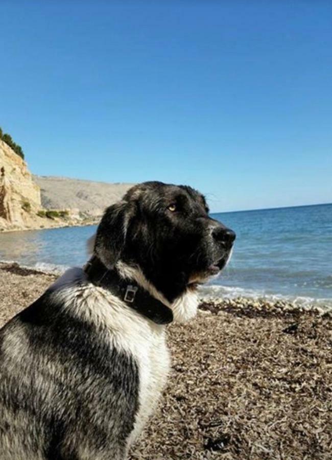 Altea, Callejeando Por Su Casco Antiguo. Zewnętrze zdjęcie